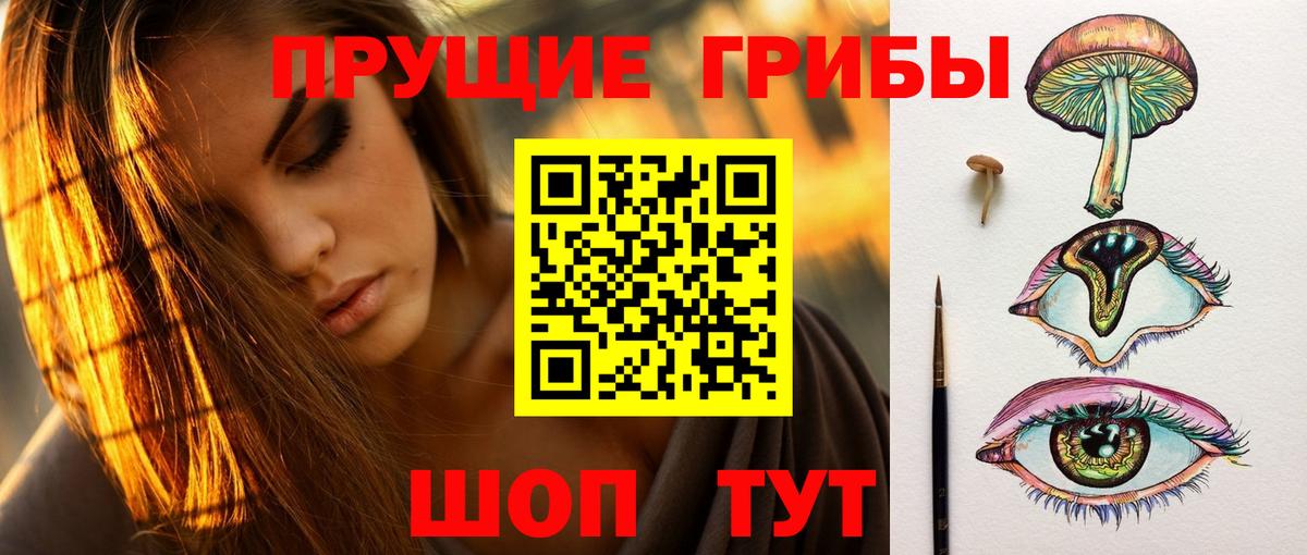 где купить   Псилоцибиновые грибы Magic Shrooms  Вход с VPN  Белая Калитва 